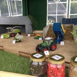Burford School Countryside Live Day